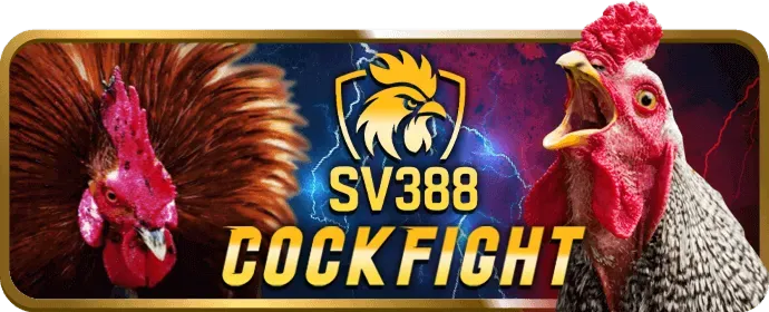 Hình ảnh chương trình VIP 88clb88 Casino